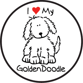 Mini Doodle Puppies For Sale | We Deliver Anywhere in the US