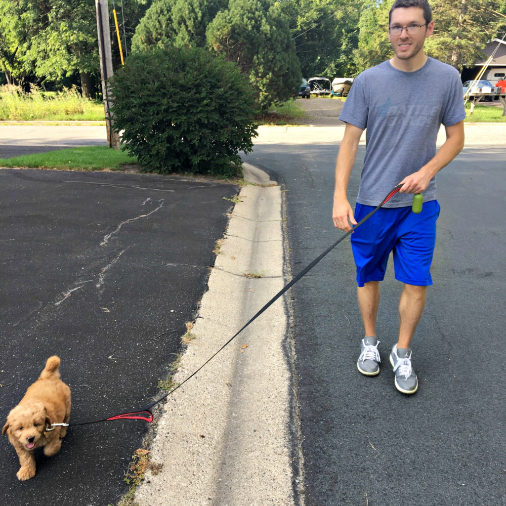 Goldendoodle, Theo and his new owner taking a walk