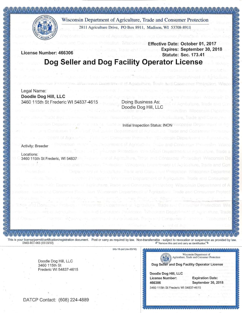 Contact Us Doodle Dog Hill