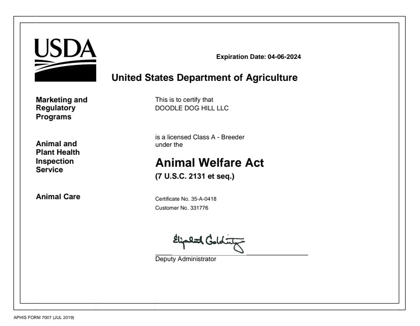 2023 USDA Licensing Certificate Doodle Dog Hill LLC